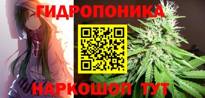 прущие крисы Пенза