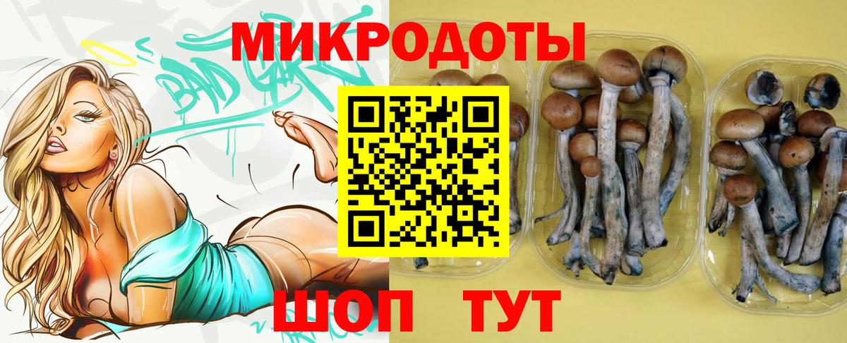 Псилоцибиновые грибы прущие грибы  Вход с VPN  Ртищево 