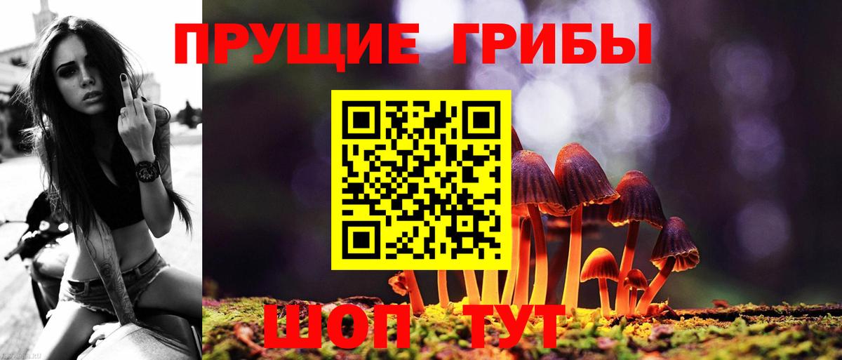 Псилоцибиновые грибы MAGIC MUSHROOMS Ртищево